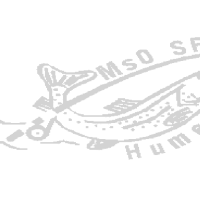 hu2024